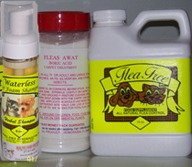 Lifes abundance coupon code