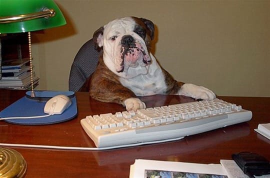 dogfatherAtComputer