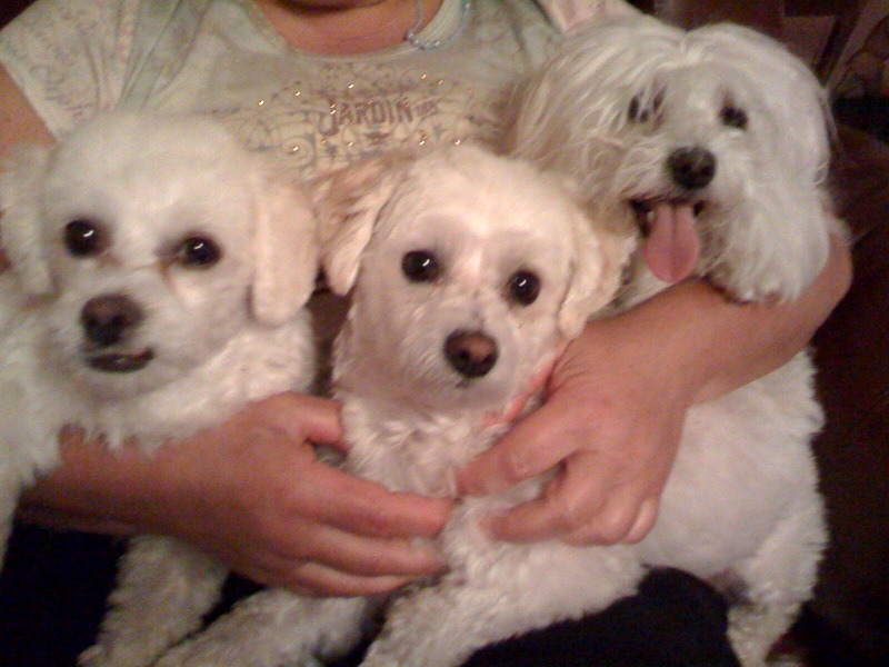 GracieRickySashaMackie