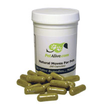 NaturalMovesforPetsLg