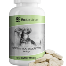 Wellness-Food-Supplement-for_Dogs
