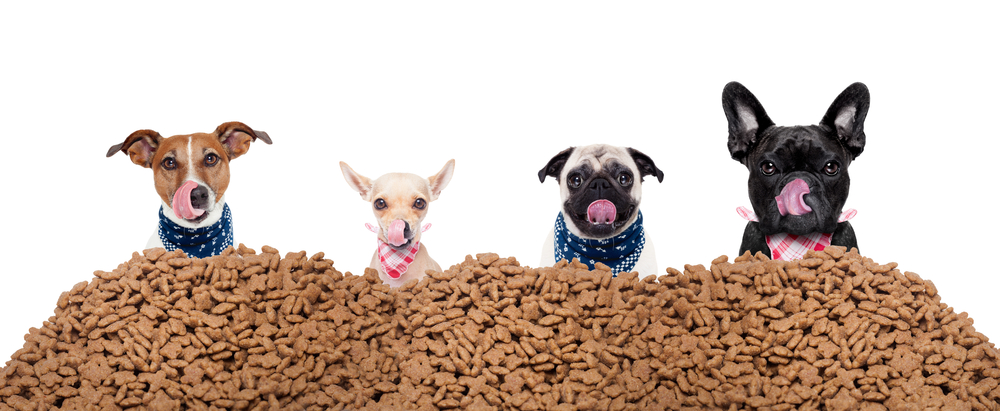 Best Healthy Treats For Dogs Reddit Best Healthy Treats For Dogs Reddit