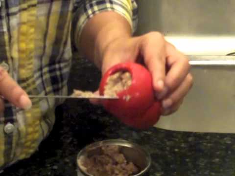 How to Stuff & Clean a Kong Dog Toy