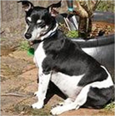 Beau - StemEnhance Testimonial