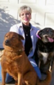 Dogs-hip-pain-gone.jpg