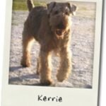 Kerrie.jpg