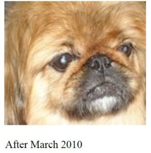 Sneepy-After.jpg
