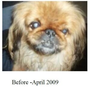 Sneezy-Before.jpg