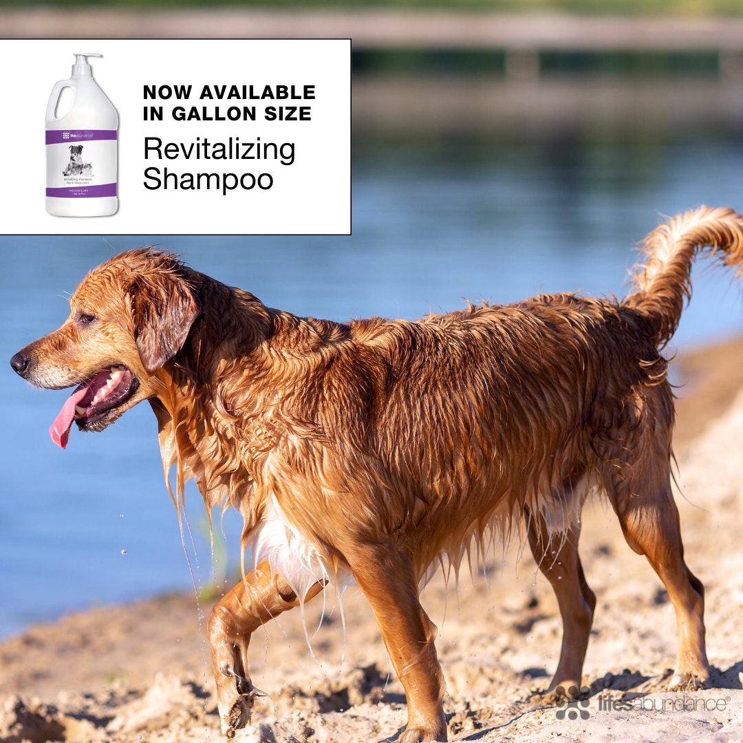 Life's Abundance Revitalizing Shampoo