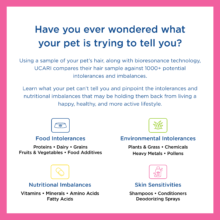 Types of Pet Intolerances Tested