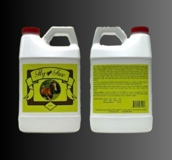 Untitled design (24)