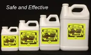 Allergies & Immune System