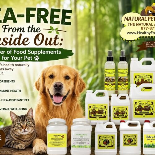 Flea Free Food Supplement Orlando