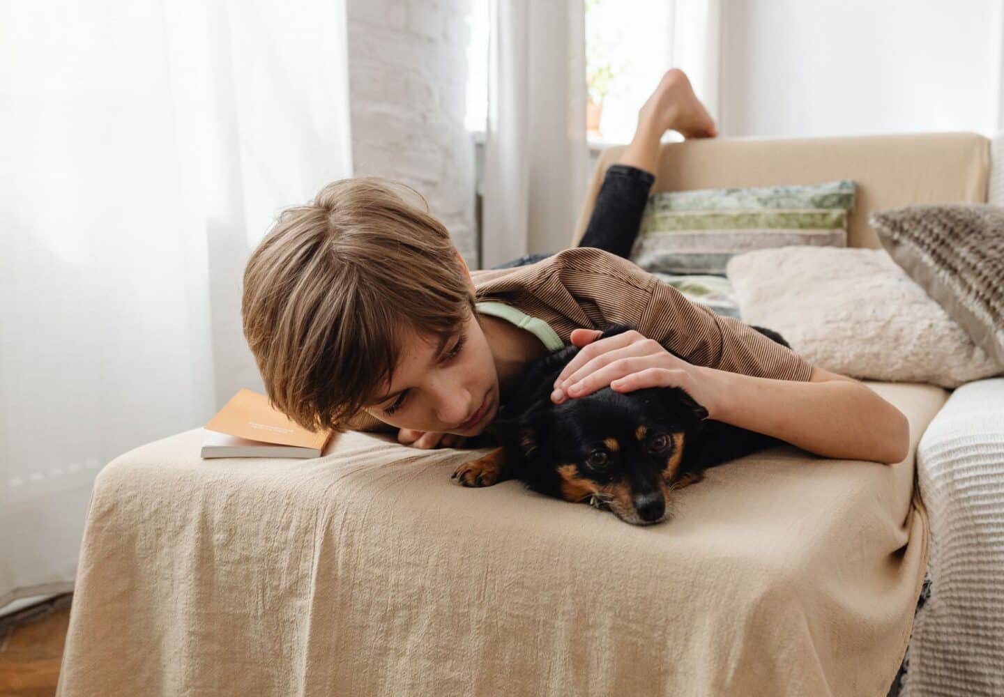 Flea Free Pets Guide