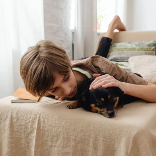 The Complete Guide to Flea Free Food Supplements for Dogs and Cats