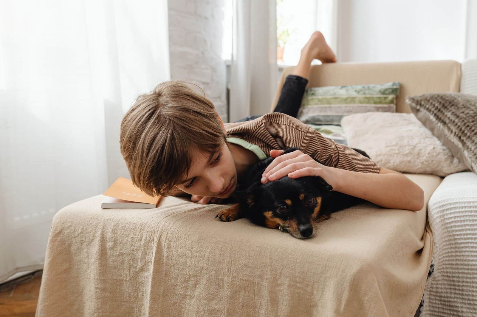 Flea Free Pets Guide