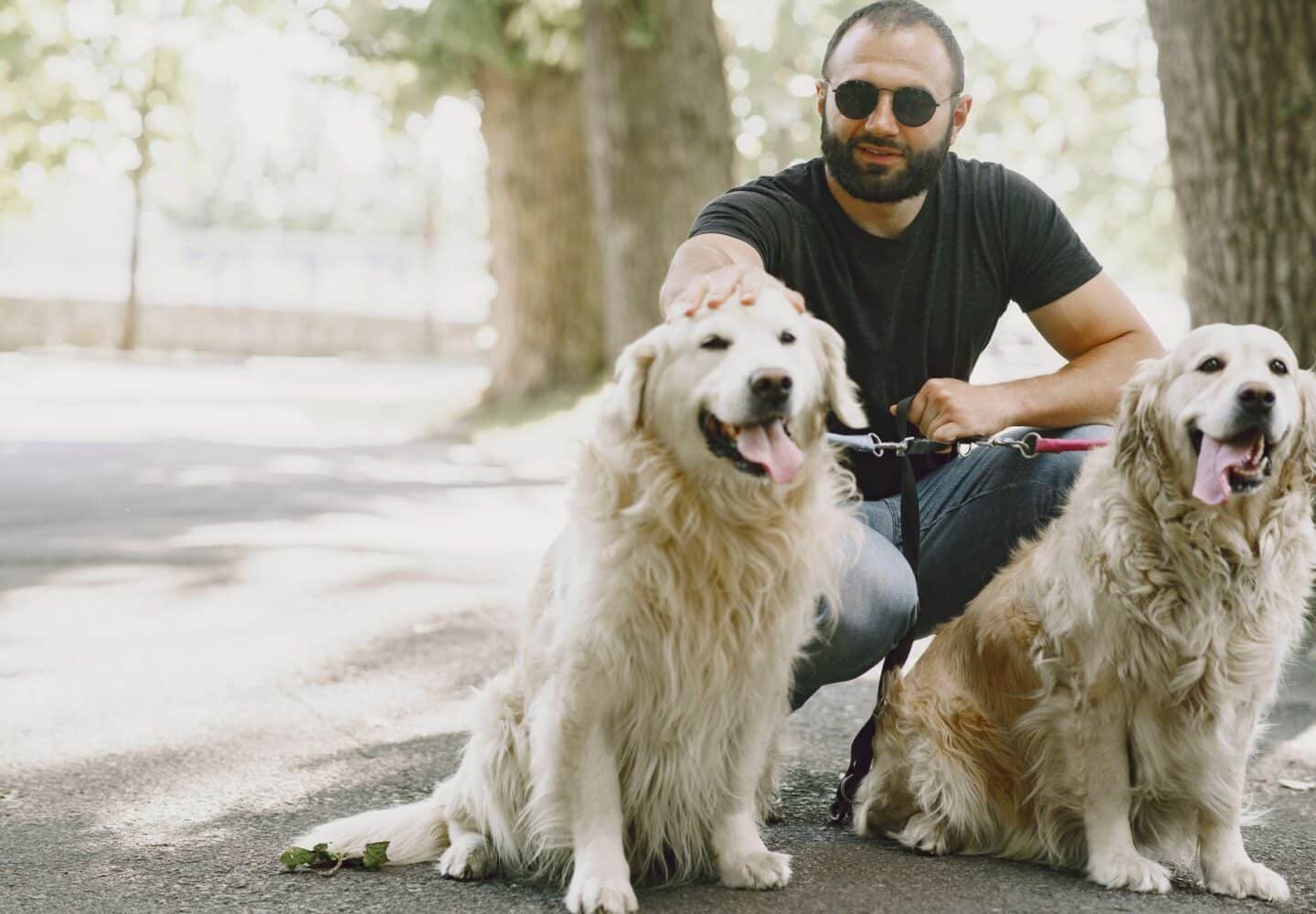 Pet owners with dogs