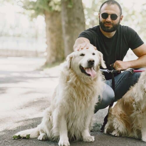 Why Pet Owners Choose Augmented NAC for Dogs and Cats ?