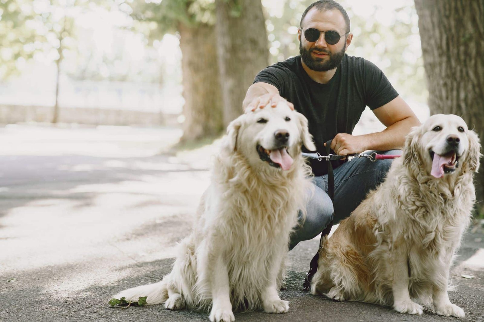 Pet owners with dogs