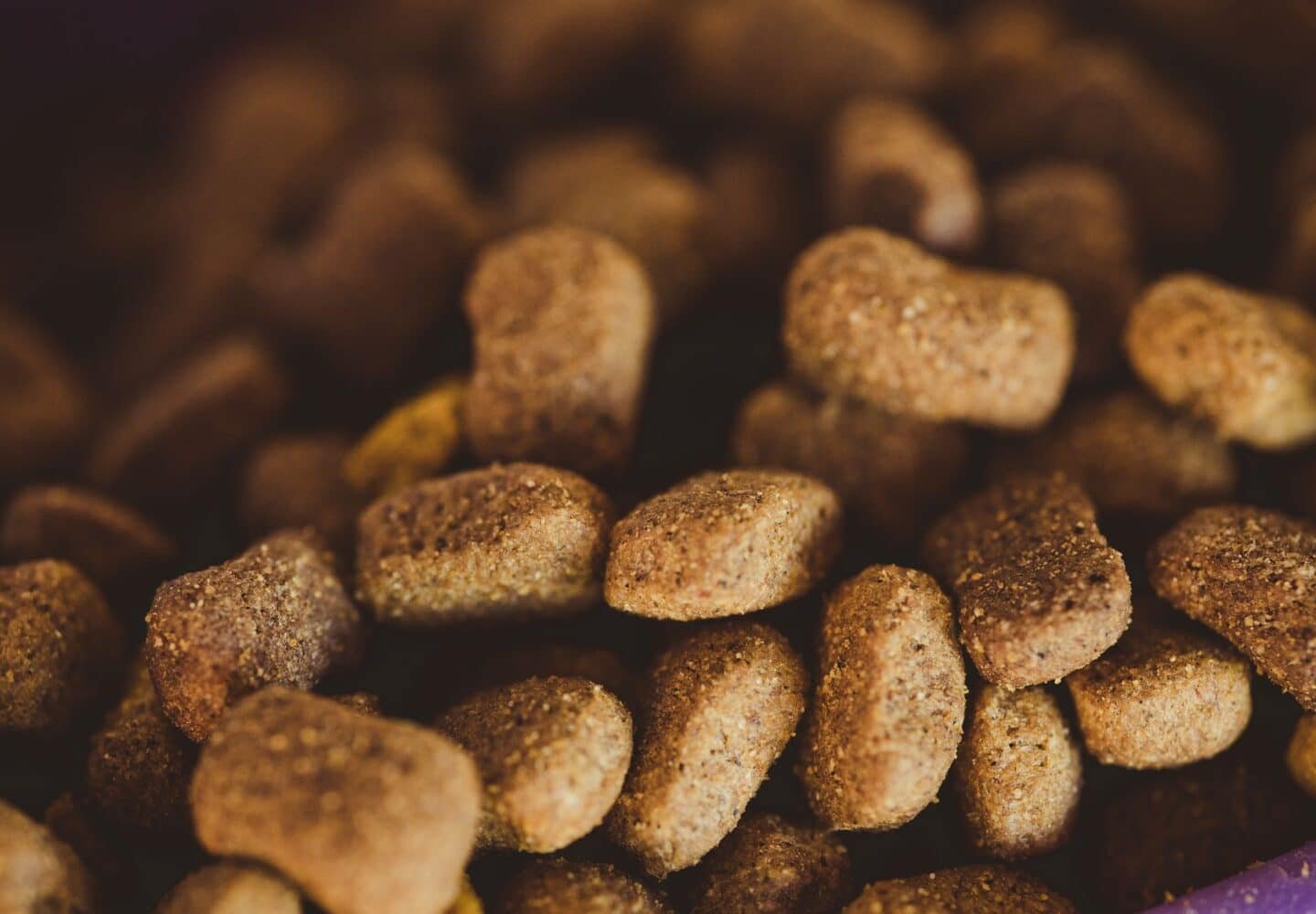 Flea free cat food supplement