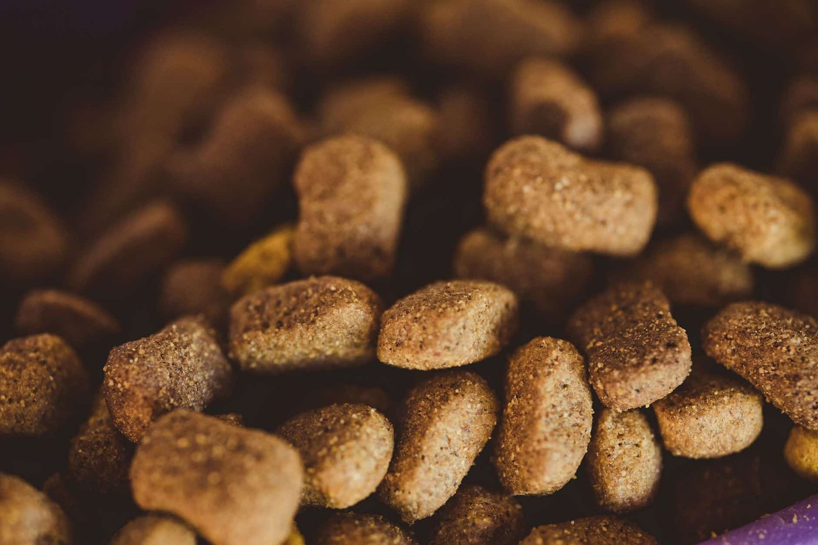 Flea free cat food supplement
